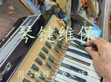 卡顿/失灵，回弹乏力。脱落松动，各类杂音