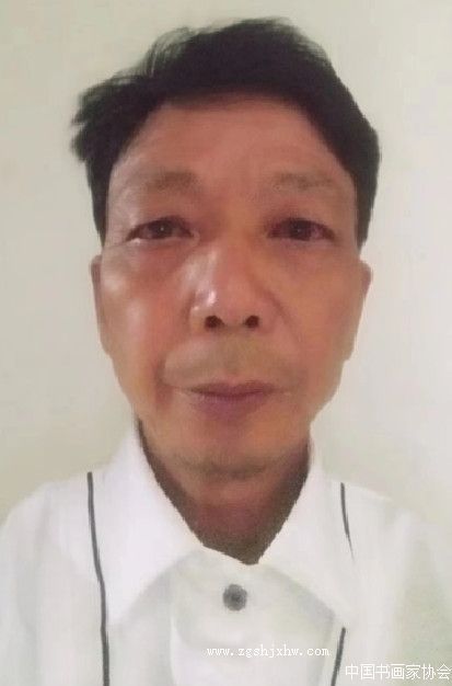 陈锦坤-会员