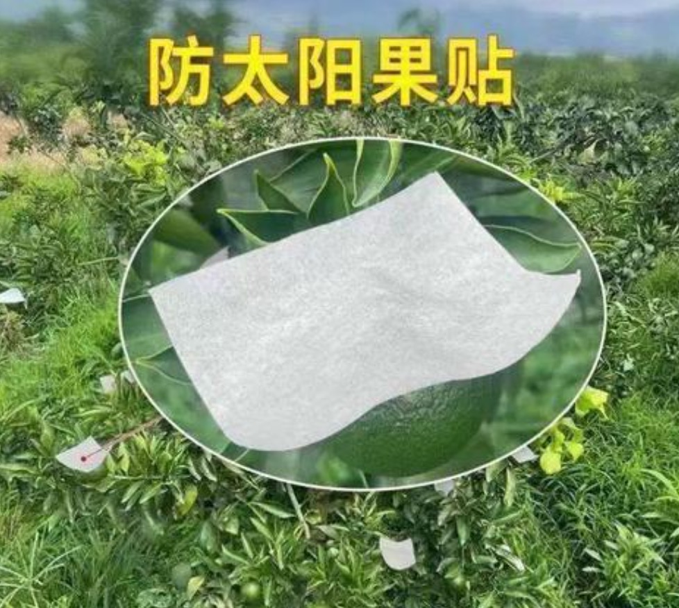 Citrus Sun Protection Stickers