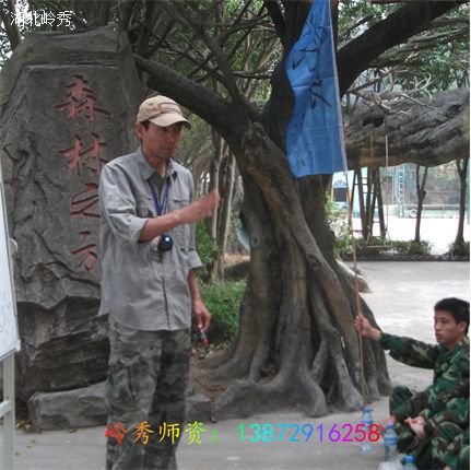 实力师资~李老师