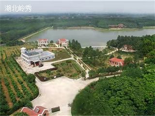 荆州户外拓展~荆州紫荆农庄户外拓展训练基地