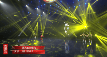 舞蹈《漂亮的枣骝马》