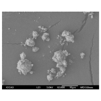 hydroxyapatite 200nm,95%
