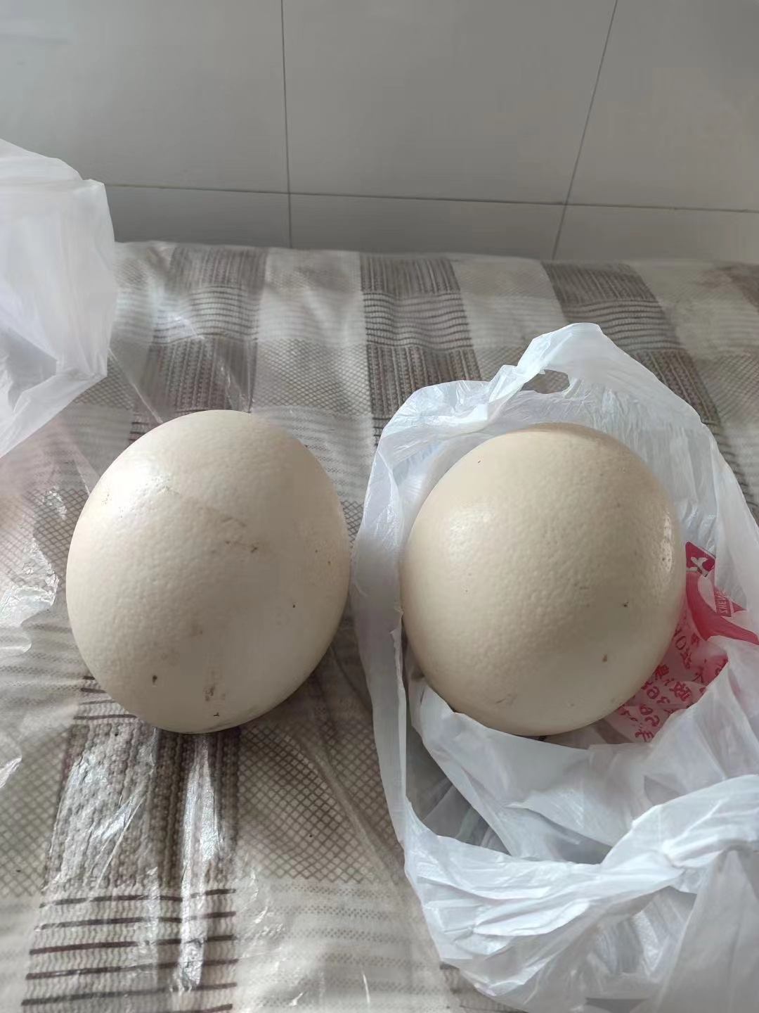正中集团大事记