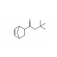 5-Norbornene-2-carboxylic tert-butyl ester