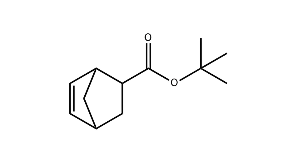 5-Norbornene-2-carboxylic tert-butyl ester