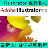 Adobe Illustrator视频教学  AI视频教学
