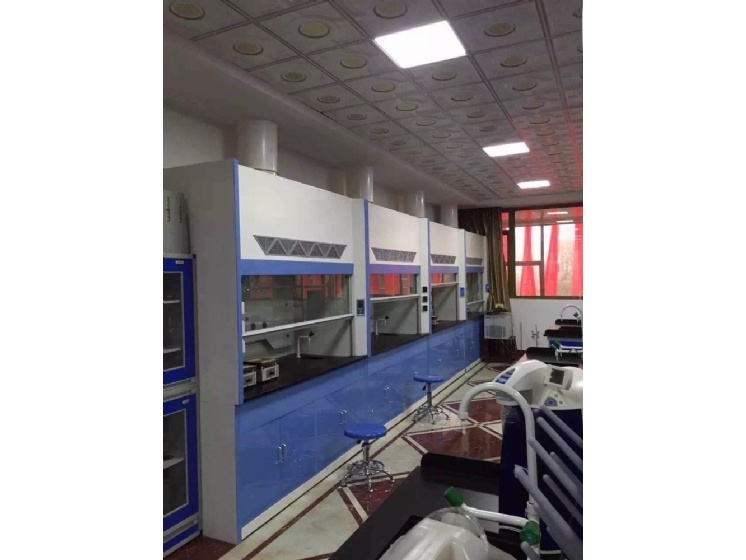 化工厂耐腐蚀通风柜1