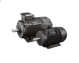 Permanent Magnet Brushless Motor