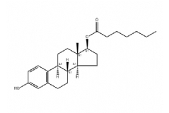 Estradiol Enanthate