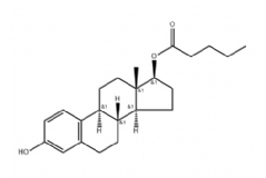 Estradiol Valerate