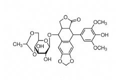 Etoposide