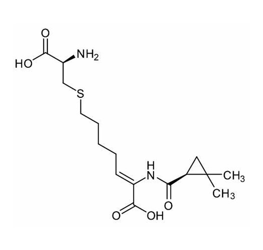 Cilastatin