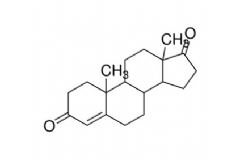 Follicle Stimulating Hormone