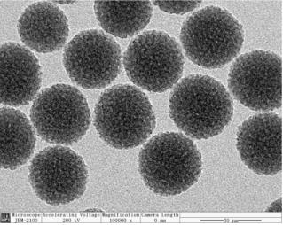 Mesoporous silica nanoparticles, MSNs