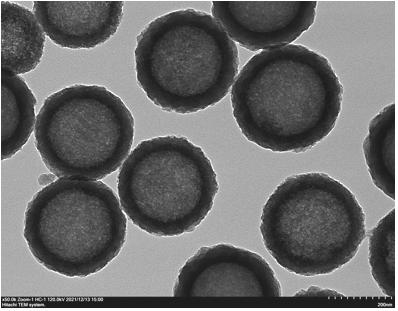 Hollow mesoporous silica nanoparticles, HMSNs