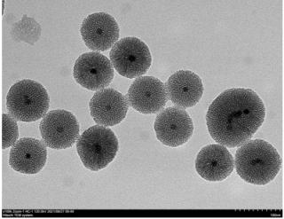 Magnetic mesoporous silica nanoparticles, MMSNs