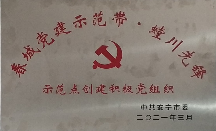 示范点创建积极党组织