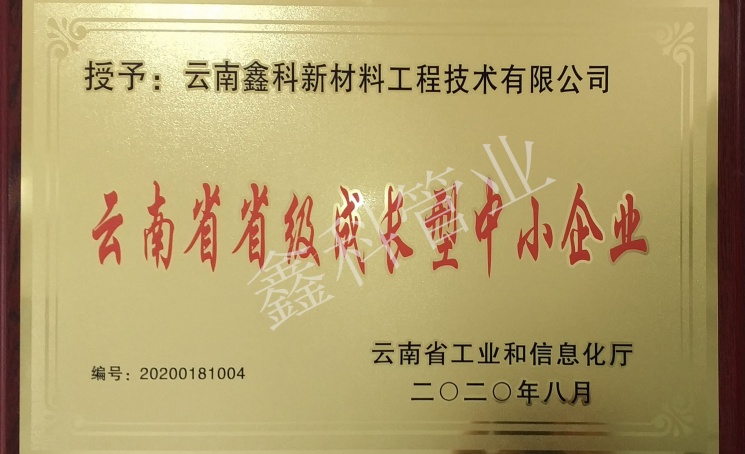 云南省省级成长型中小企业