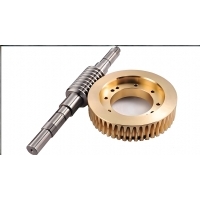 Precision Worm Drive Gear