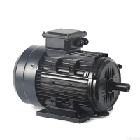 Permanent Magnet Brushless DC Motor