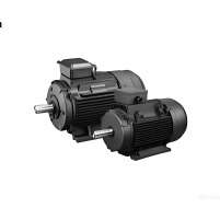 Permanent Magnet Synchronous Motor (PMSM)