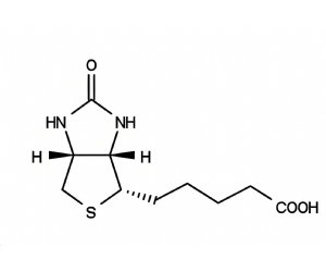 D-Biotin