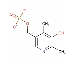 Vitamin B6