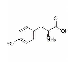 L-Tyrosine