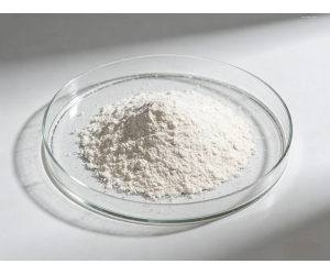 Xanthan Gum
